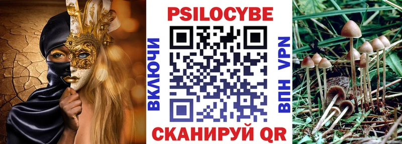 Псилоцибиновые грибы прущие грибы  Купить  Карпинск 